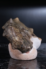 Аммонит Mammites sp.