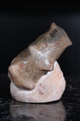 Аммонит Mammites sp.