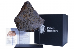 Метеорит Сеймчан 520 г 