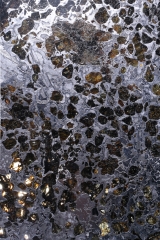 Метеорит Сеймчан 520 г 