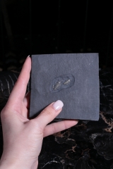 Трилобиты Triarthrus eatoni