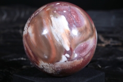 Шар из окаменелого дерева