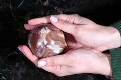 Шар из окаменелого дерева