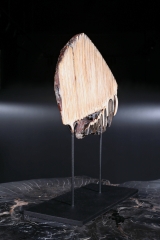 Зуб мамонта