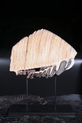 Зуб мамонта