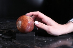 Шар из окаменелого дерева