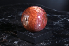 Шар из окаменелого дерева