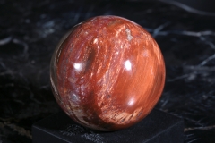 Шар из окаменелого дерева