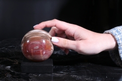 Шар из окаменелого дерева
