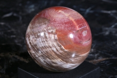 Шар из окаменелого дерева