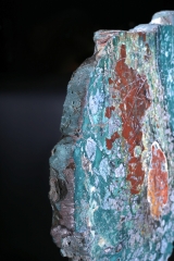 Окаменелое дерево