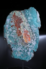 Окаменелое дерево