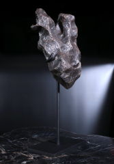 Метеорит Campo del Cielo 7,9 кг