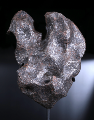 Метеорит Campo del Cielo 7,9 кг