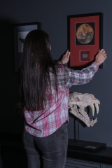 Марсианский метеорит NWA 12269 8,7 г