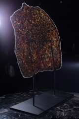 Метеорит Sericho 1835 г