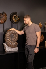 Аммонит Arietites bucklandi