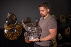 Аммонит Placenticeras sp.