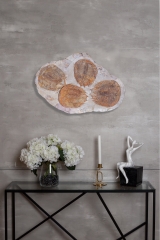 Трилобиты Dikelokephalina brenchleyi