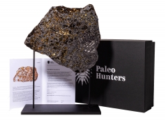 Метеорит Сеймчан 373,2 г