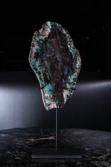 Окаменелое дерево Colla Wood