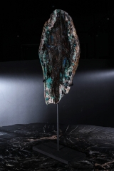 Окаменелое дерево Colla Wood