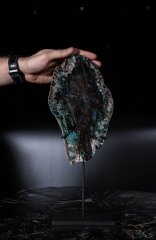 Окаменелое дерево Colla Wood