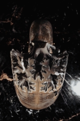 Аммонит Lytoceras sp.