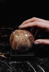 Шар из окаменелого дерева