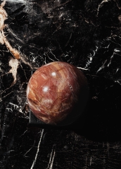 Шар из окаменелого дерева