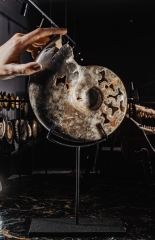 Аммонит Shloenbacchia sp.