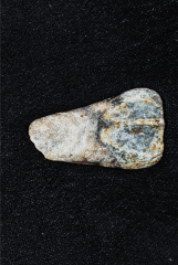 Панно с зубом трицератопса