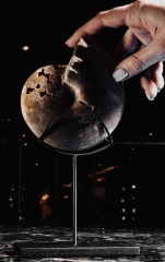 Аммонит Shloenbacchia sp.