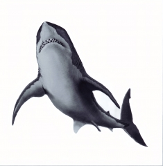 Панно с зубом мегалодона 9,5 см