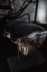 Зуб мамонта 