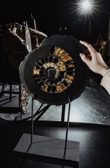 Аммонит Speetoniceras versicolor