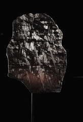 Метеорит Muonionalusta 123 г