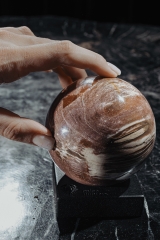 Шар из окаменелого дерева