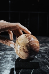 Шар из окаменелого дерева