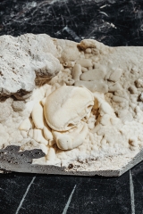 Краб Potamon potamios