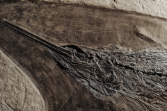 Рыбы Palaeorhynchus sp. и Lepidopus sp.