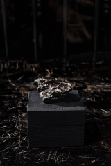 Метеорит Campo del Cielo 86,6 г