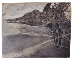 Скелет ихтиозавра Mixosaurus sp.